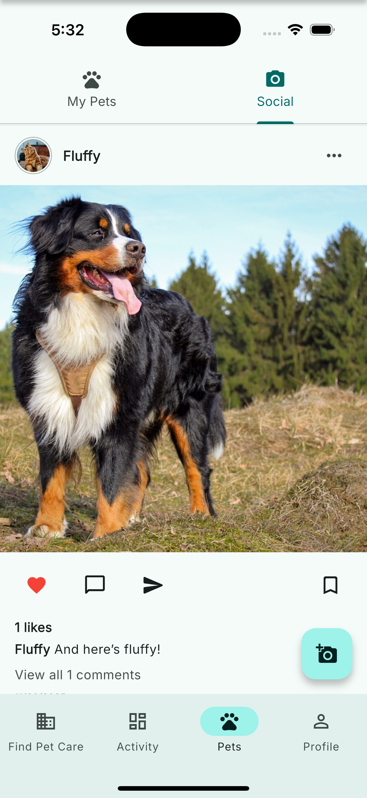 Share your pet's moments